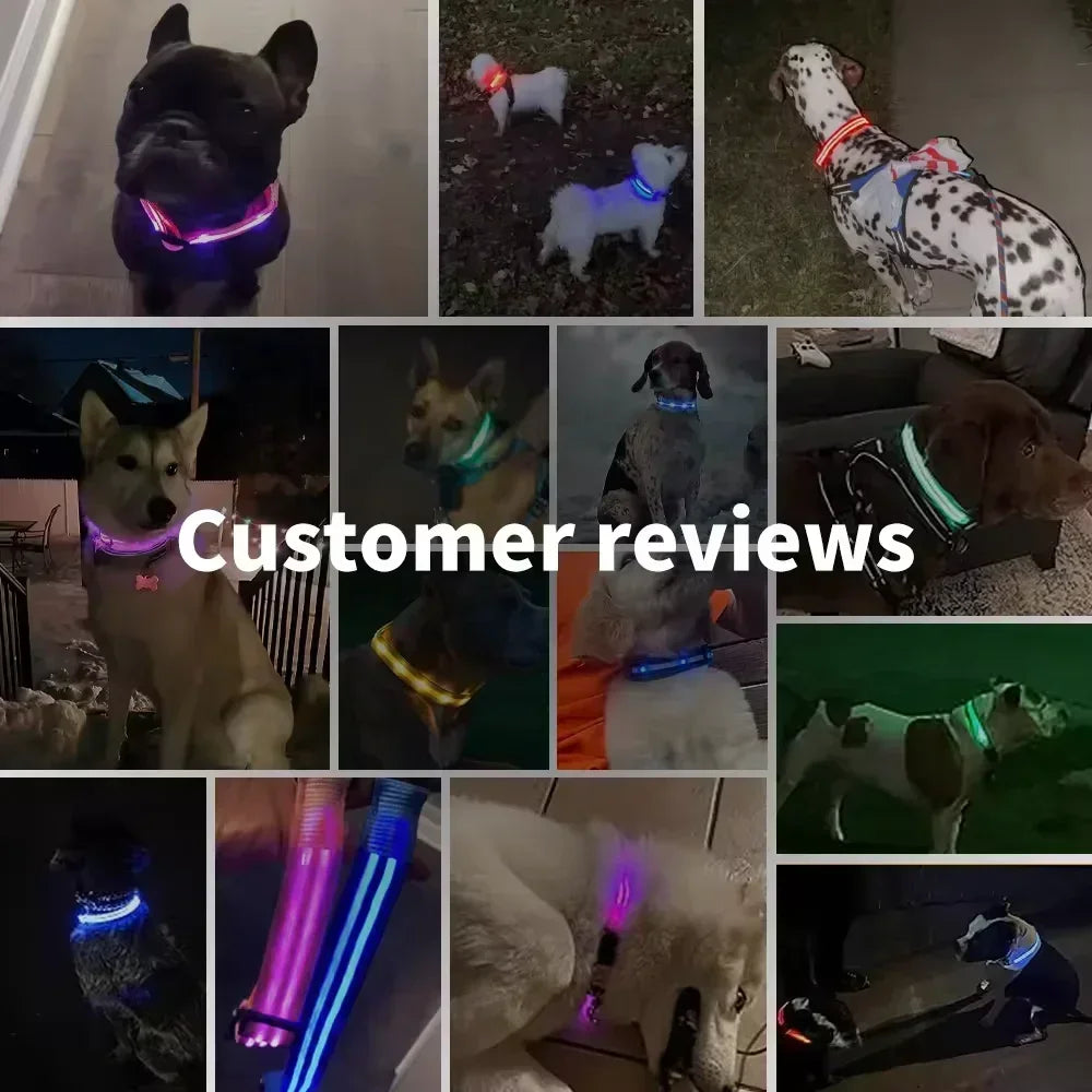 LED Collar – Adjustable, Rechargeable ,Night Safety