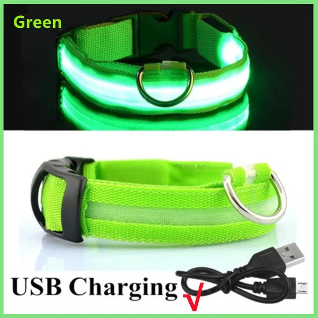 LED Collar – Adjustable, Rechargeable ,Night Safety