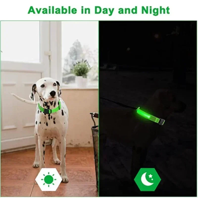 LED Collar – Adjustable, Rechargeable ,Night Safety