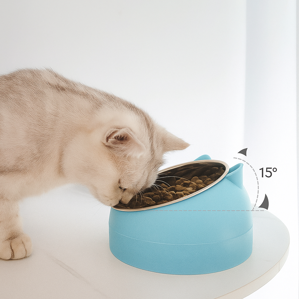Inclined Stainless Steel Pet Bowl – Easy to Clean