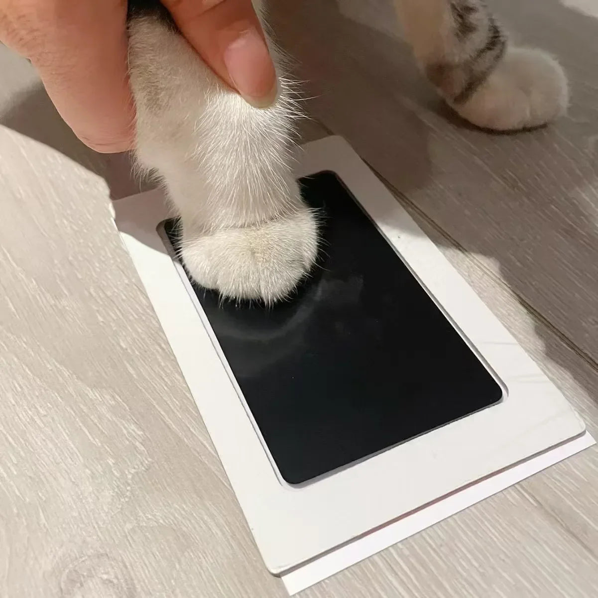 Inkless Paw Print Kit – Safe No-Touch Pad for Pets