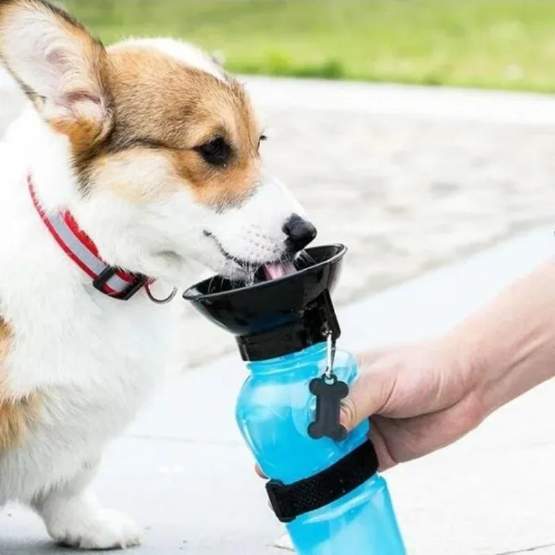 Portable Pet Water Bottle with Bowl – 500ml