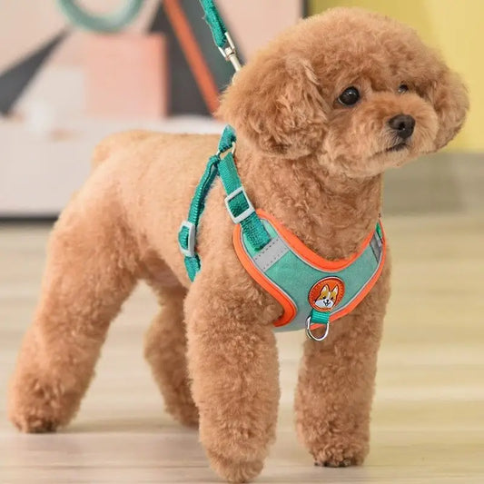 Bright turquoise and orange adjustable harness with reflective strips and a cute cartoon dog logo