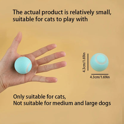 A small rechargeable ball toy featuring a power symbol . Designed specifically for cats, it is not suitable for medium or large dogs