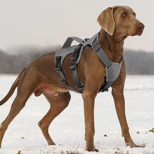 Adjustable grey no-pull dog harness with reflective strips