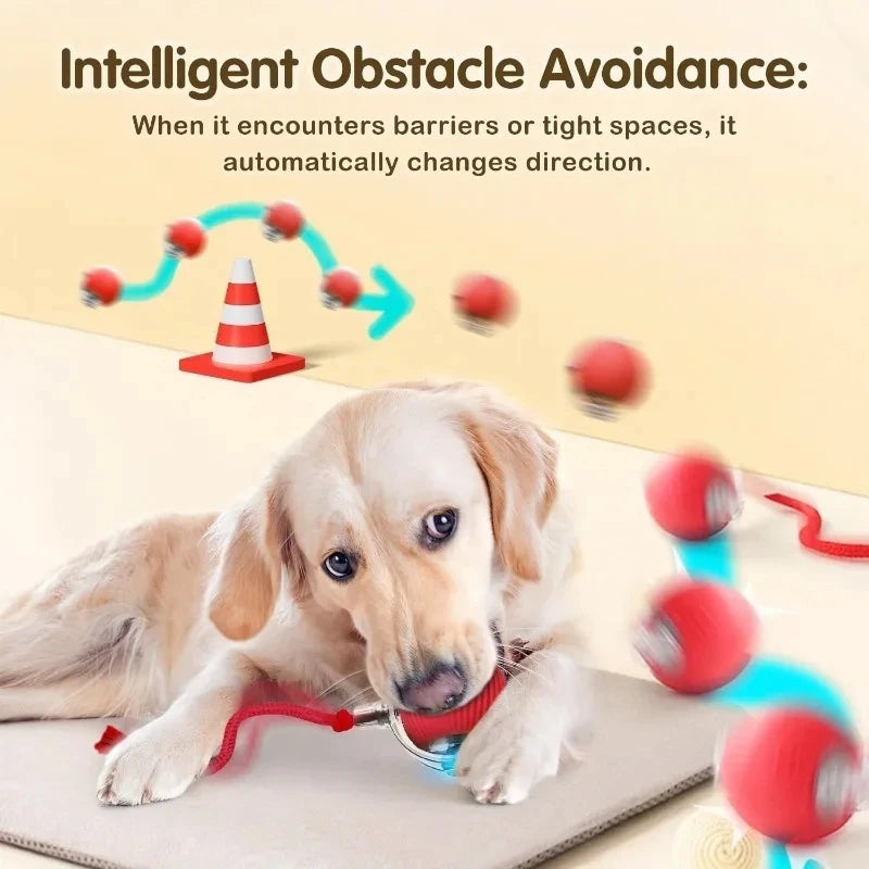  The Interactive Electric Ball Toy for Dogs & Cats, a red rechargeable ball featuring a glowing blue light and rope handle, designed to avoid obstacles.