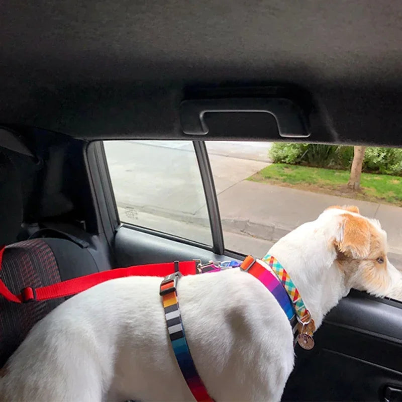 Pet Car Seat Leash – Safety Travel Harness for pets 