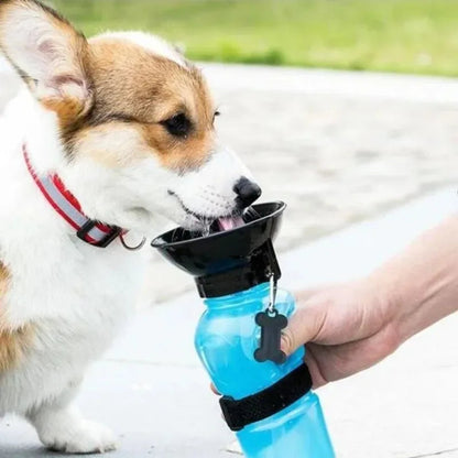 Portable Pet Water Bottle with Bowl – 500ml 